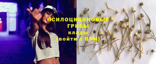 MDMA Premium VHQ Богородицк