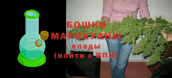 прущие грибы Богданович