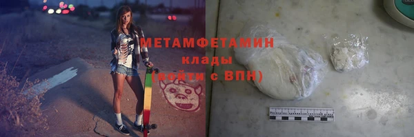 прущие грибы Богданович