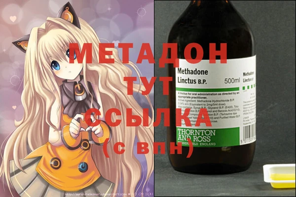 прущие грибы Богданович