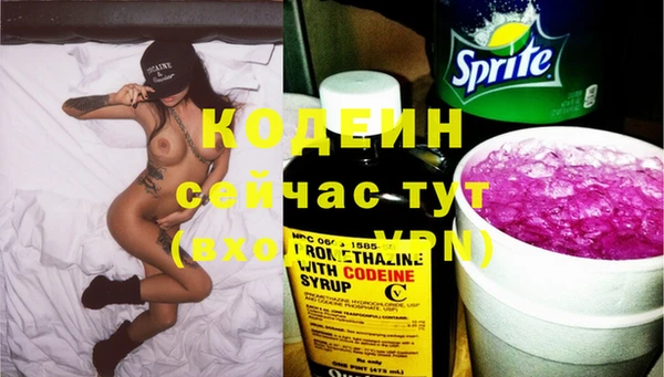 хмурый Богородск
