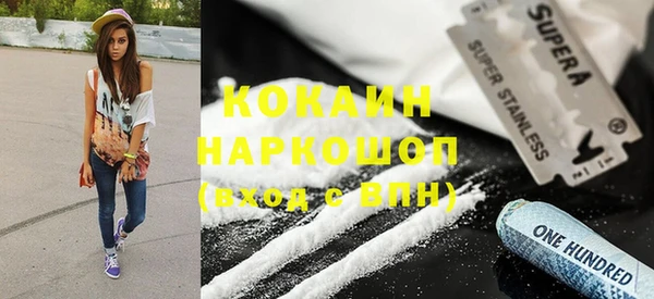 прущие грибы Богданович