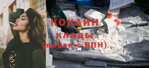 прущие грибы Богданович