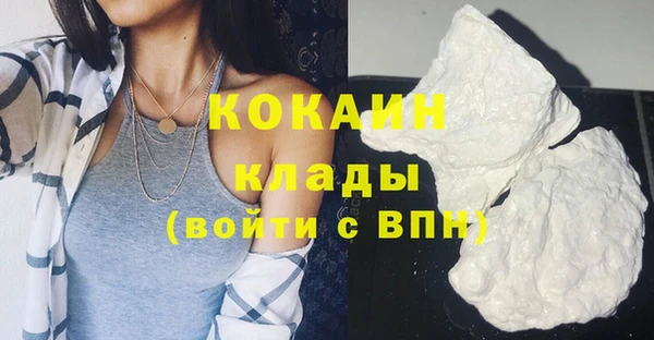 прущие грибы Богданович