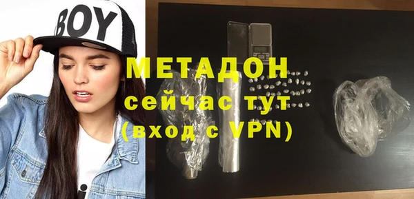 прущие грибы Богданович