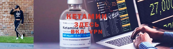 прущие грибы Богданович