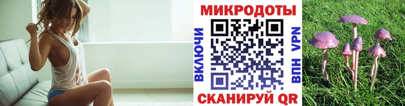 хочу наркоту  Рязань  Псилоцибиновые грибы ЛСД 